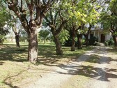Bild 3 - 8 Zimmer Einfamilienhaus in Castelnuovo Scrivia