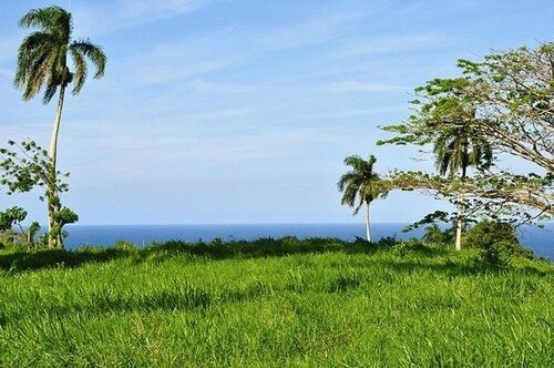 Bild 2 - Grundstück zum Kaufen in Cabrera