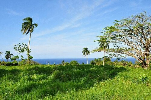 Bild 4 - Grundstück in Cabrera zum Kaufen