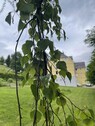 Bild 3 - Hotel, Pension, Gasthof in Falkau