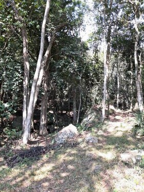 Bild 4 - Einfamilienhaus mit 280,00 m² in Piribebuy zum Kaufen