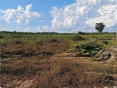 Bild 1 - Brasilien 27.000 Ha Tiefpreis-Grossgrundbesitz mit Rohstoffe