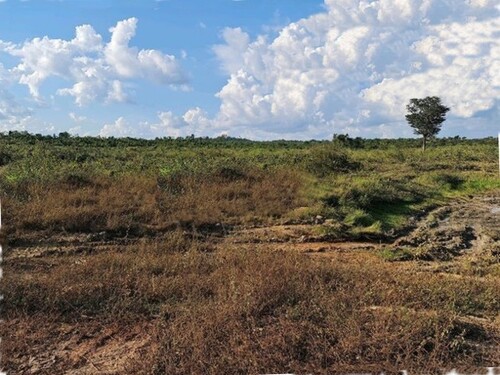 Bild 1 - Brasilien 27.000 Ha Tiefpreis-Grossgrundbesitz mit Rohstoffe
