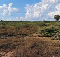 Brasilien 27.000 Ha Tiefpreis-Grossgrundbesitz mit Rohstoffe - Pauini
