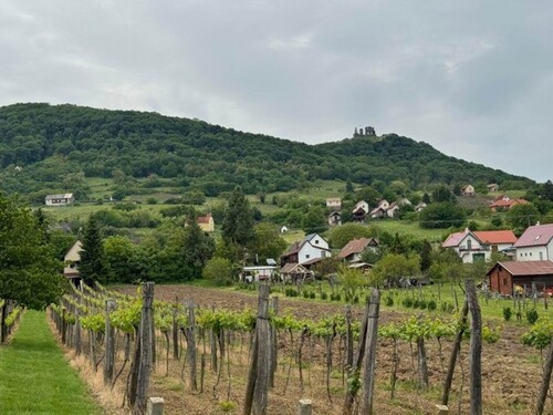 Bild 3 - 2 Zimmer Einfamilienhaus in Doba