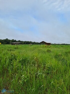 Bild 4 - Grundstück in Manaus zum Kaufen