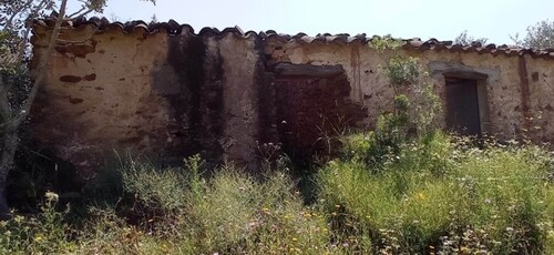 Bild 3 - Grundstück in Curral da pedras