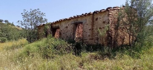 Bild 4 - Grundstück in Curral da pedras zum Kaufen
