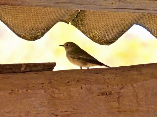 Bild 1 - Haus renovierungsbedürftig mit 1400m2 Grund Blick Cheile