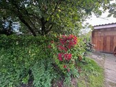Bild 2 - 2 Zimmer Einfamilienhaus zum Kaufen in Zalabér