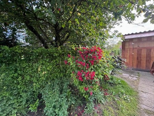 Bild 2 - 2 Zimmer Einfamilienhaus zum Kaufen in Zalabér