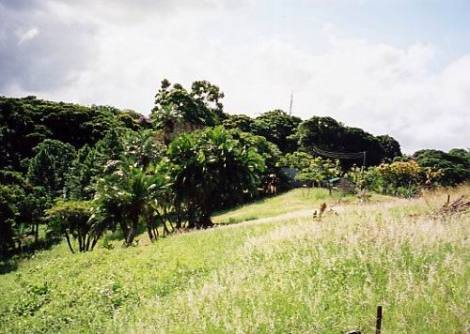 Bild 3 - Grundstück in Southbroom