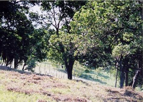 Bild 4 - Grundstück in Southbroom zum Kaufen