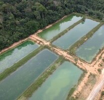 Brasilien 150 Ha grosse Fischzucht - Früchtefarm mit Privat - Manaus