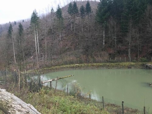 Bild 4 - Einfamilienhaus mit 1.500,00 m² in Montepiano zum Kaufen