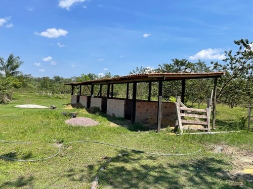 Bild 1 - 50 Ha Farm Fischzucht-Früchte-Plantagen