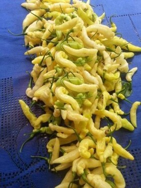 Bild 2 - 7 Zimmer Einfamilienhaus zum Kaufen in Manaus