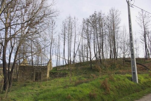 Bild 2 - 1 Zimmer Einfamilienhaus zum Kaufen in Tábua