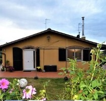 Haus mit Olivenhain zu verkaufen - Vinci