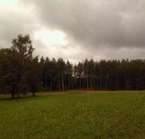 Baugrundstück nahe Gizycko Polen - Rydzewo