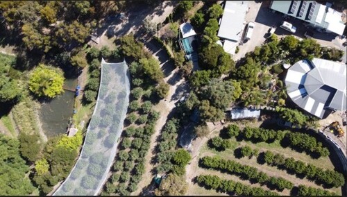 Bild 3 - 6 Zimmer Einfamilienhaus in Bull Creek