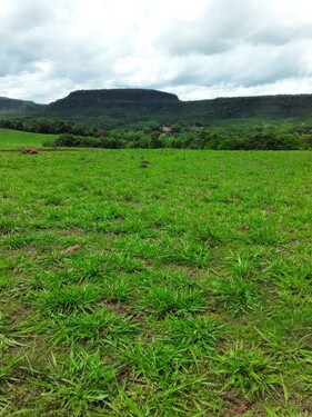 Bild 4 - Einfamilienhaus mit 1.000,00 m&sup2; in Campinopolis zum Kaufen