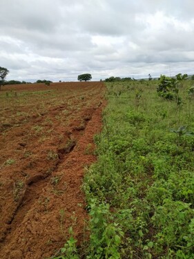 Bild 1 - Landwirtschaft mit 3580 ha in Brasilien
