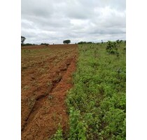 Landwirtschaft mit 3580 ha in Brasilien - Barra do Graças