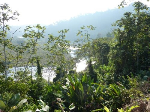 Bild 2 - 2 Zimmer Einfamilienhaus zum Kaufen in Santa Lucia de Pejibaye