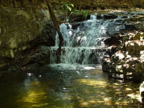 Bild 3 - 2 Zimmer Einfamilienhaus in Santa Lucia de Pejibaye