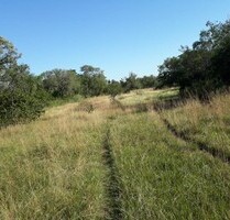 72 Hektar für Tierhaltung, Kühe und Pferde - Quiíndy