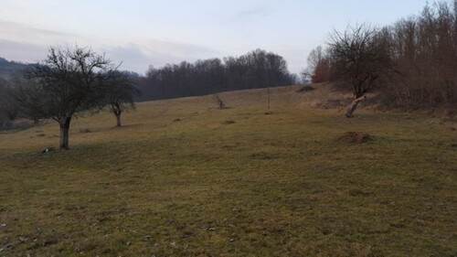 Bild 3 - Grundstück in Deva