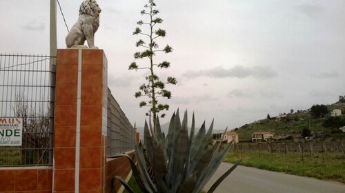 Bild 2 - 8 Zimmer Einfamilienhaus zum Kaufen in Agrigento