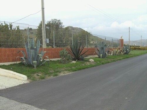 Bild 4 - Einfamilienhaus mit 160,00 m&sup2; in Agrigento zum Kaufen