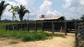 Bild 3 - Grundstück in Manaus