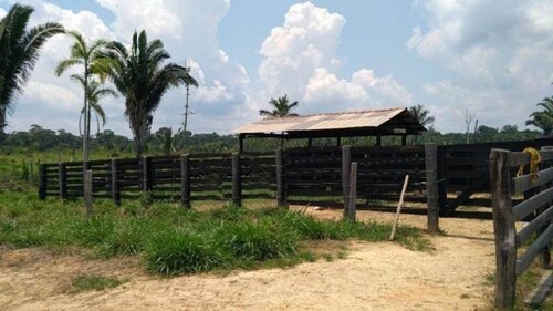 Bild 3 - Grundstück in Manaus