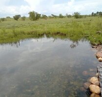 12800 Ha grosses Grundstück - 1.620.000,00 EUR Kaufpreis, ca. 9.999.999,00 m² in Novo Aripuana (PLZ: 69260000)