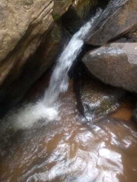 Bild 5 - 