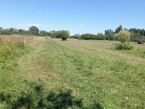 Bild 1 - Baugrundstücke in Nemesvid - 189.000,00&nbsp;EUR Kaufpreis, ca.&nbsp; 100.000,00&nbsp;m&sup2;