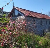 Kleiner Bauernhof mit Steinhaus - Tábua