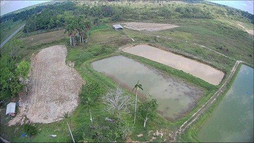 Bild 1 - Brasilien 97,79 Ha Fischzucht - und Früchtefarm Manaus AM