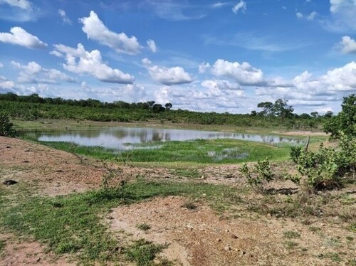 Bild 1 - Brasilien 206 Ha Fazenda Region Varzea Grande MT