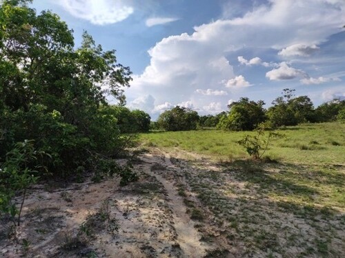 Bild 3 - Grundstück in Varzea Grande