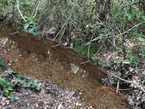 Bild 4 - Grundstück in Varzea Grande zum Kaufen