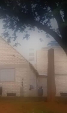 Bild 2 - 3 Zimmer Einfamilienhaus zum Kaufen in Rio Grande do Sul