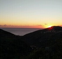 3 Landhäuser in einem Olivenhain. Atemberaubender Meerblick - Serramezzana
