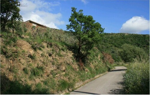 Bild 3 - 7 Zimmer Einfamilienhaus in Serramezzana