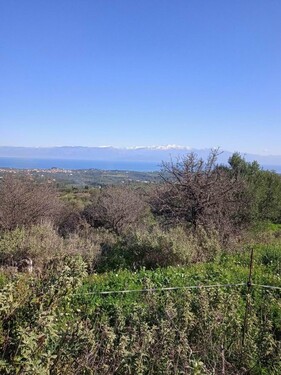 Bild 1 - Wunderschönes Bauland mit Millionenblick