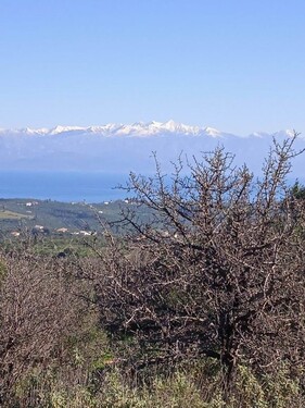 Bild 2 - Grundstück zum Kaufen in Koroni