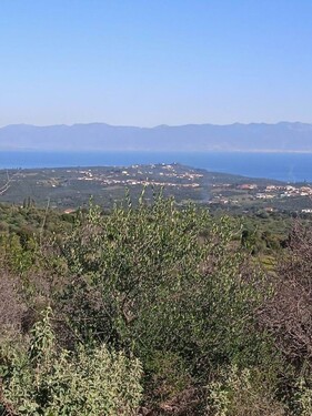 Bild 3 - Grundstück in Koroni